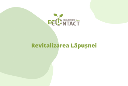 Revitalizarea Lăpușnei