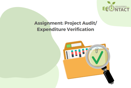 Assignment: Project Audit/Expenditure Verification