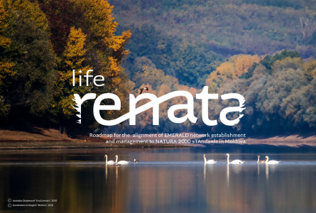 Life Renata organizează o serie de întâlniri fructuoase la Chișinău