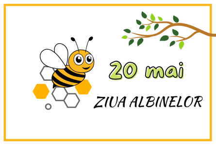 20 mai – Ziua Mondială a Albinelor: Să promovăm agricultura prietenoasă polenizatorilor