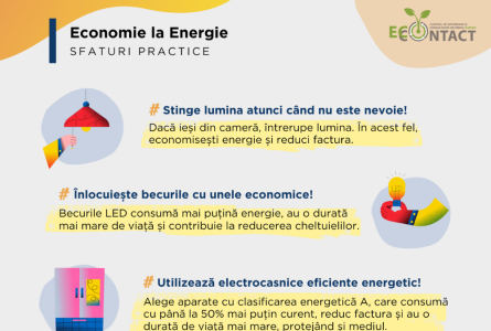 Economie la energie