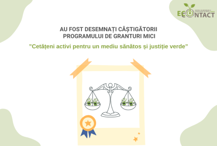 Au fost desemnați câștigătorii a Programului de granturi mici „Cetățeni activi pentru un mediu sănătos și Justiție verde”