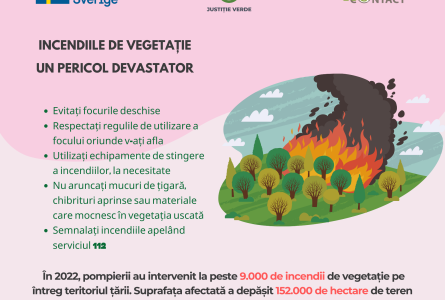 Incendiile de vegetație - un pericol devastator