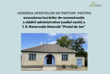 Cererea ofertelor de prețuri - termen extins