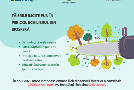 Tăierile ilicite pun în pericol echilibrul din biosferă