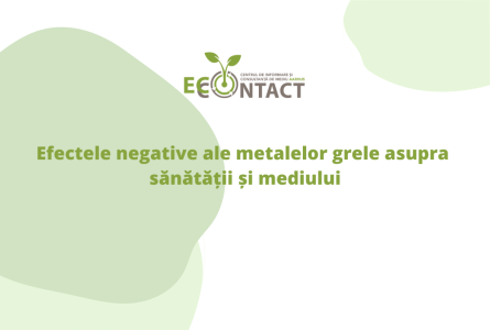 Efectele negative ale metalelor grele asupra sănătății și mediului