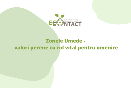 Zonele Umede – valori perene cu rol vital pentru omenire