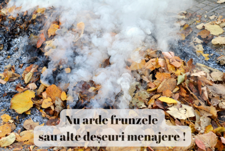 Nu arde frunzele sau alte deșeuri menajere pe câmp deschis! Transformă frunzele în compost.