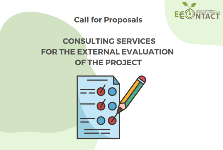 Extended deadline: consulting services for the external evaluation of the project