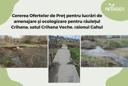 Cererea Ofertelor de Preț pentru lucrări de amenajare și ecologizare pentru râulețul Crihana, satul Crihana Veche, raionul Cahul