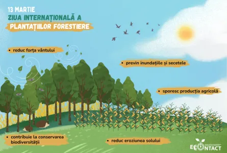 Ziua internațională a plantațiilor forestiere