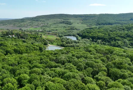 Descoperă Rezervația Naturală „Codrii” într-un nou spot lansat de EcoContact cu suportul Agenției Austriece pentru Dezvoltare
