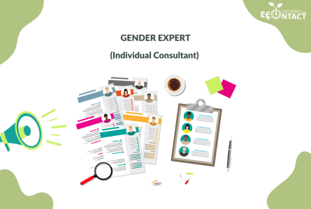 Gender expert (individual consultant)