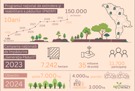 Pădurile și inovațiile – noi soluții pentru o lume mai bună