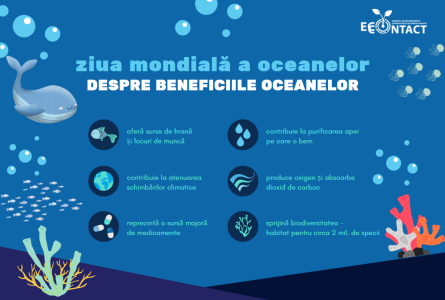 Ziua Mondială a Oceanelor: Un ocean, o climă, un viitor - împreună