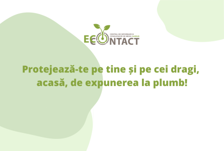 Protejează-te pe tine și pe cei dragi, acasă, de expunerea la plumb!