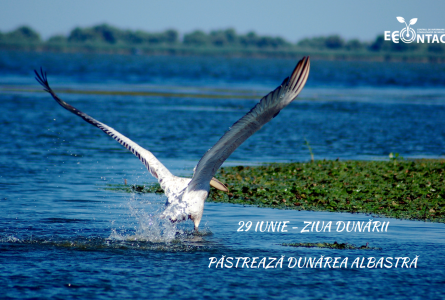 Ziua Dunării – Păstrează Dunărea albastră