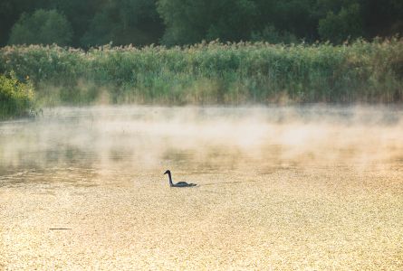 Zone umede și cunoștințe tradiționale: celebrarea patrimoniului cultural