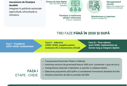Infografic - Foaie de parcurs pentru tranziția spre Natura 2000