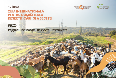 Ziua Mondială pentru Combaterea Deșertificării și a Secetei 2026 pune pajiștile în centrul atenției. Moldova are, din acest an, reguli noi pentru protecția pășunilor