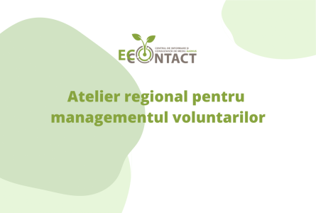 Atelier regional pentru managementul voluntarilor