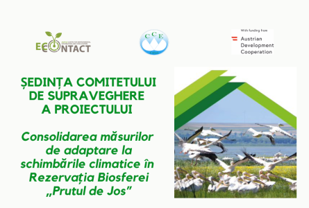 A avut loc cea de a doua ședință de supraveghere a proiectului Consolidarea măsurilor de adaptare la schimbările climatice în Rezervația Biosferei „Prutul de Jos”