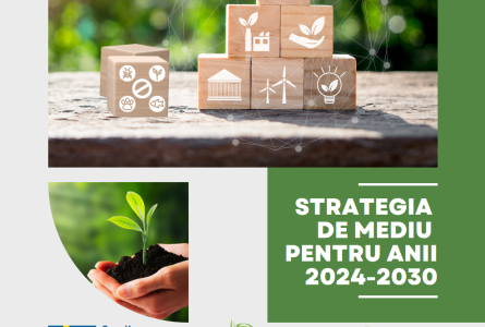 Strategia de mediu pentru anii 2024-2030