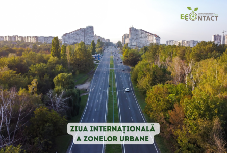 Ziua internațională a zonelor urbane