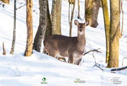 Ziua mondială a rezervațiilor naturale – 11 ianuarie