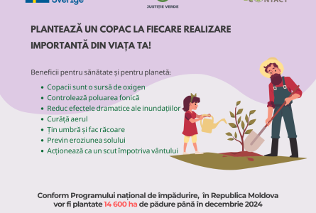 Plantează un copac la fiecare realizare importantă din viața ta!