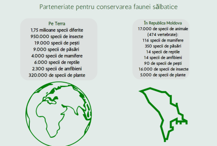 Ziua Mondială a Vieții Sălbatice 2023 - Parteneriate pentru conservarea vieții sălbatice