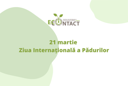 21 martie – Ziua Internațională a Pădurilor