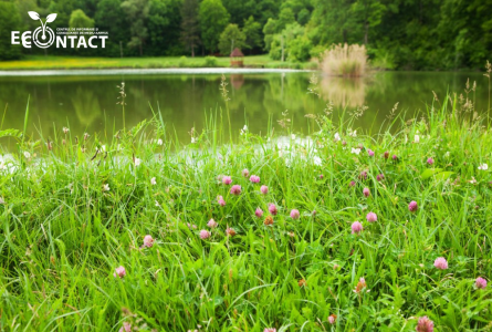 21 mai: Ziua rețelei europene Natura 2000