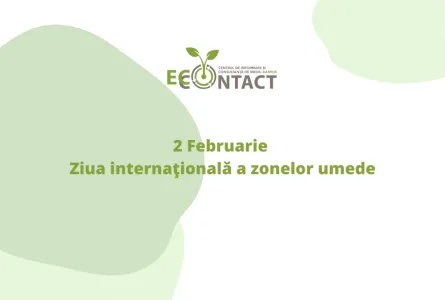 2 Februarie – Ziua internaţională a zonelor umede