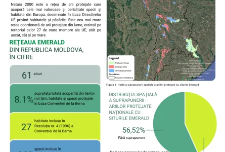 Care este starea actuală a conservării naturii în Republica Moldova