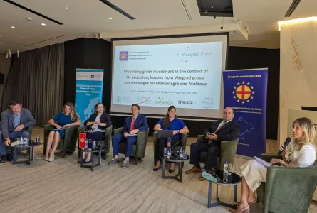 Mobilizarea investițiilor verzi în contextul aderării la UE: lecții din experiența statelor Grupului de la Vișegrad și provocări pentru Muntenegru și Republica Moldova