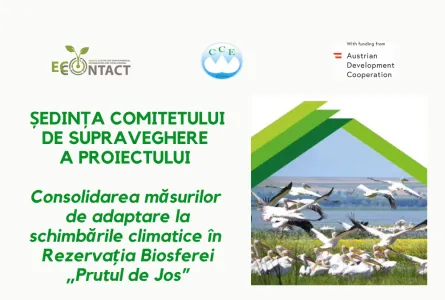 A avut loc cea de a doua ședință de supraveghere a proiectului Consolidarea măsurilor de adaptare la schimbările climatice în Rezervația Biosferei „Prutul de Jos”