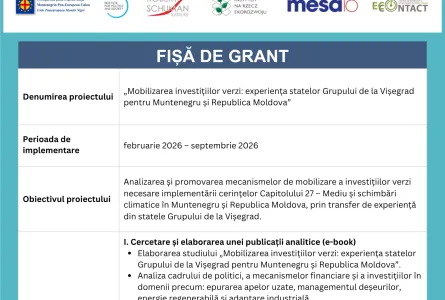 Mobilizarea investițiilor verzi: experiența statelor Grupului de la Vișegrad pentru Muntenegru și Republica Moldova
