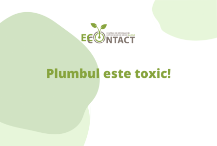 Plumbul este toxic!