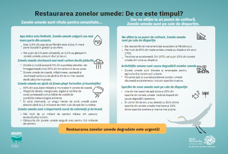 Restabilirea Zonelor Umede – sloganul Zilei mondiale a zonelor umede 2023