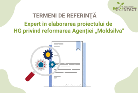 Concurs repetat: Termeni de referință - expert în elaborarea proiectului de HG privind reformarea Agenției „Moldsilva”