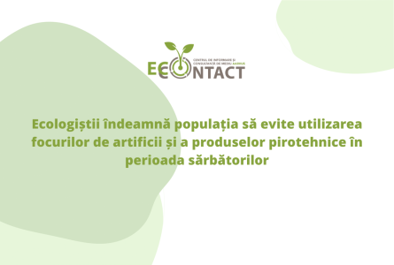 Ecologiștii îndeamnă populația să evite utilizarea focurilor de artificii și a produselor pirotehnice în perioada sărbătorilor