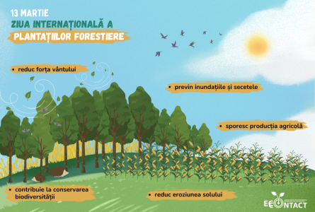 Ziua internațională a plantațiilor forestiere